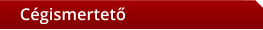 Cégismertető